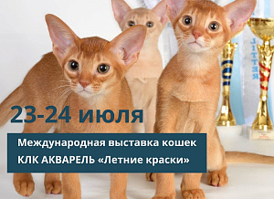 Международная выставка кошек КЛК АКВАРЕЛЬ «Летние краски». 23-24 июля