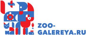 Zoo-galereya.ru