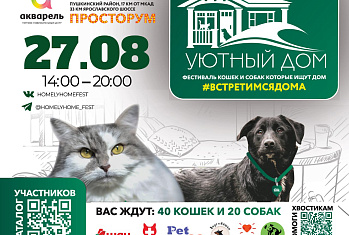 15-й благотворительный фестивальный "Уютный Дом" в Пушкино 27 авгста